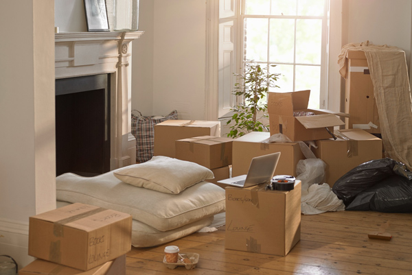 Shree Packers and Movers 