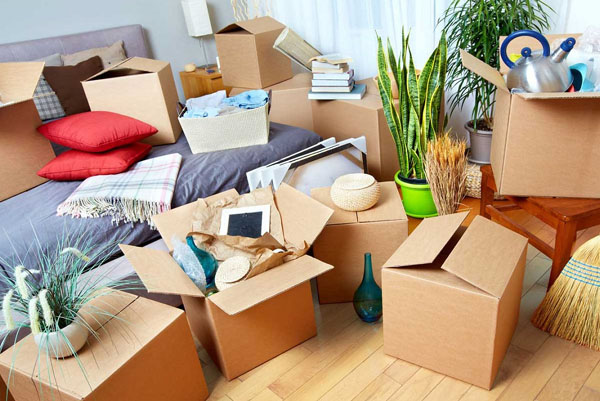 Shree Packers and Movers 